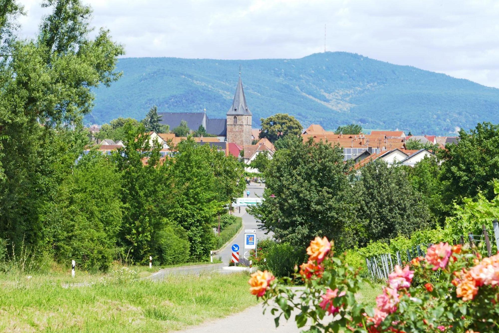Hotel Garni Sebastian Kirrweiler  Kültér fotó