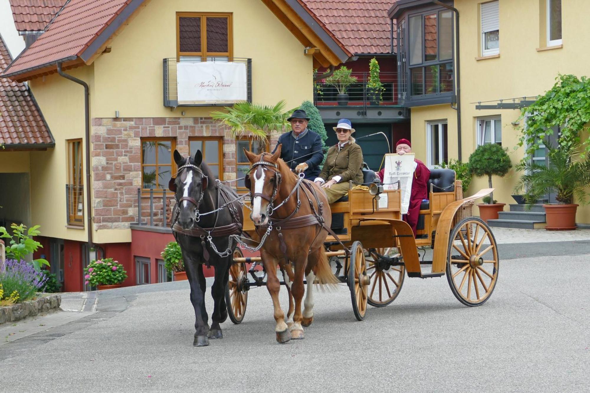 Hotel Garni Sebastian Kirrweiler  Kültér fotó